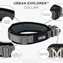 dog-explorer-sort-2.jpg