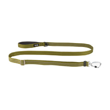 dog-freestyle-groen.jpg
