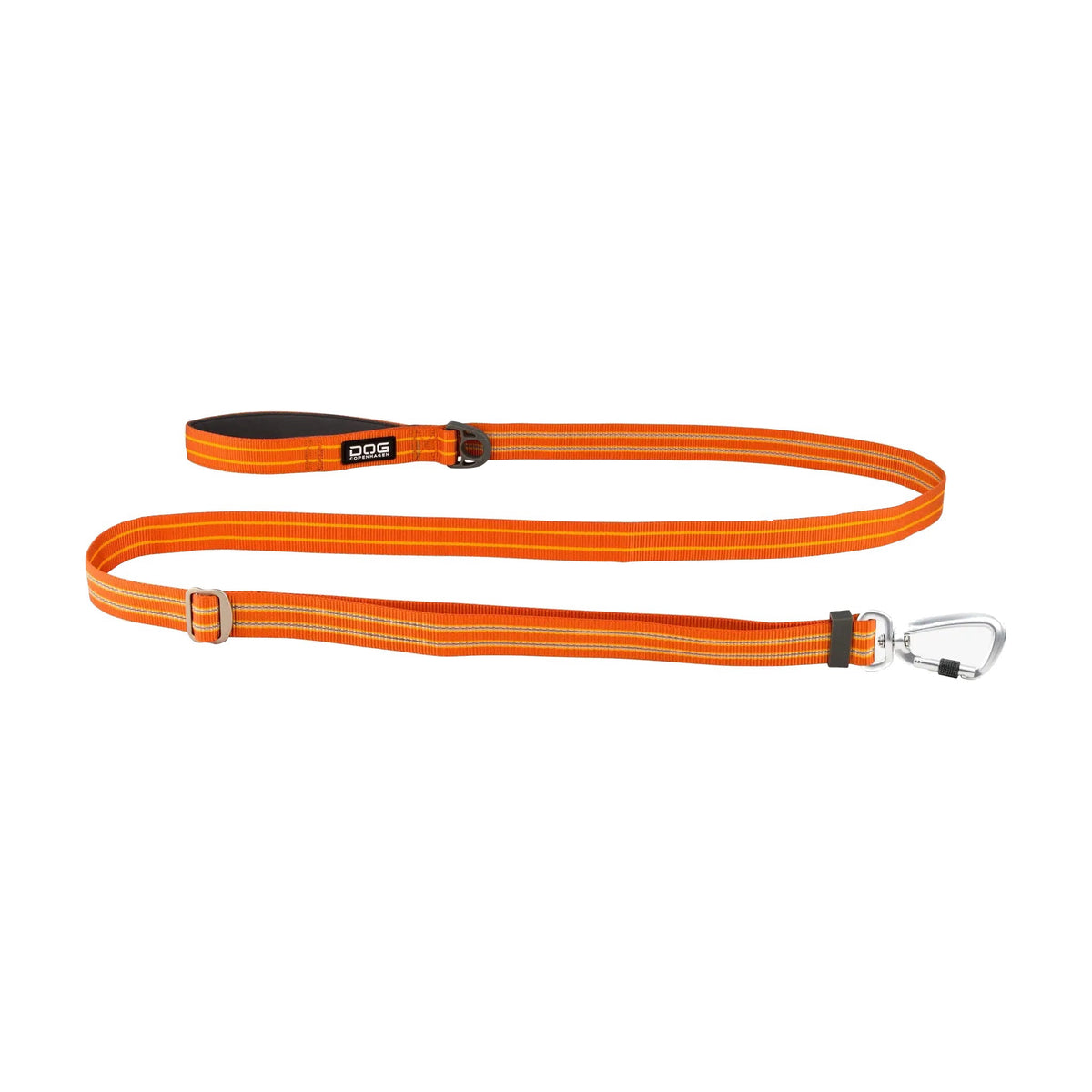 dog-freestyle-orange.jpg