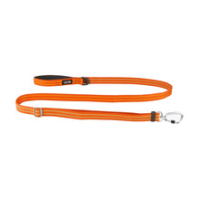 dog-freestyle-orange.jpg