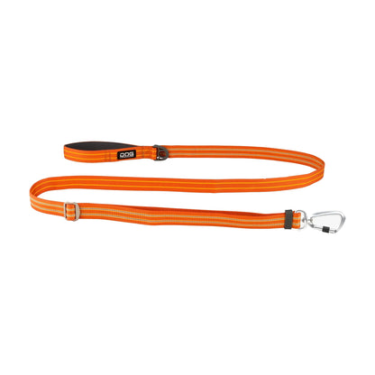 dog-freestyle-orange.jpg
