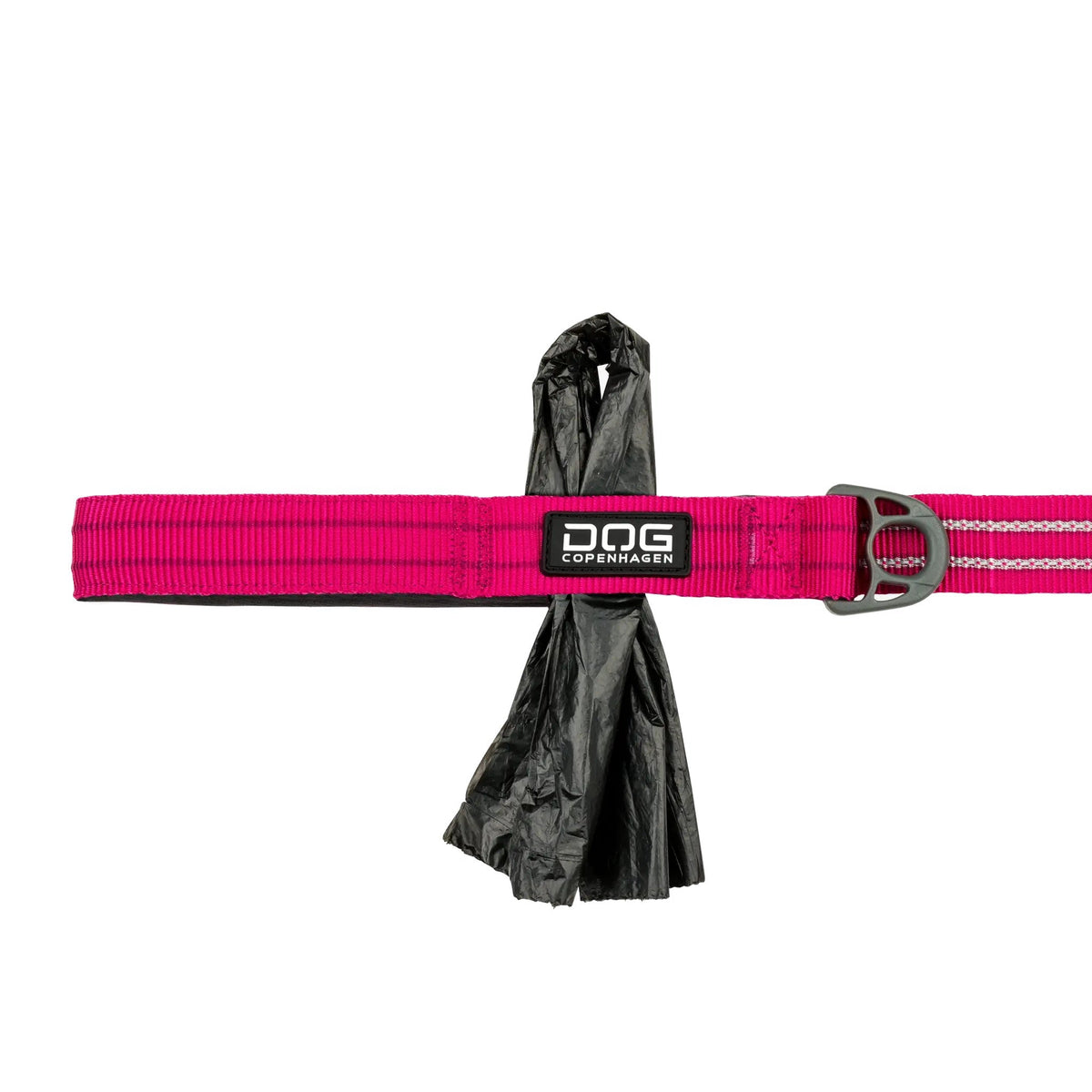 dog-freestyle-pink-1.jpg