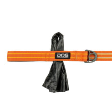 dog-freetyle-orange-1.jpg