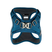 dog-go-blaa-1.jpg