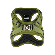 dog-go-groen-1.jpg