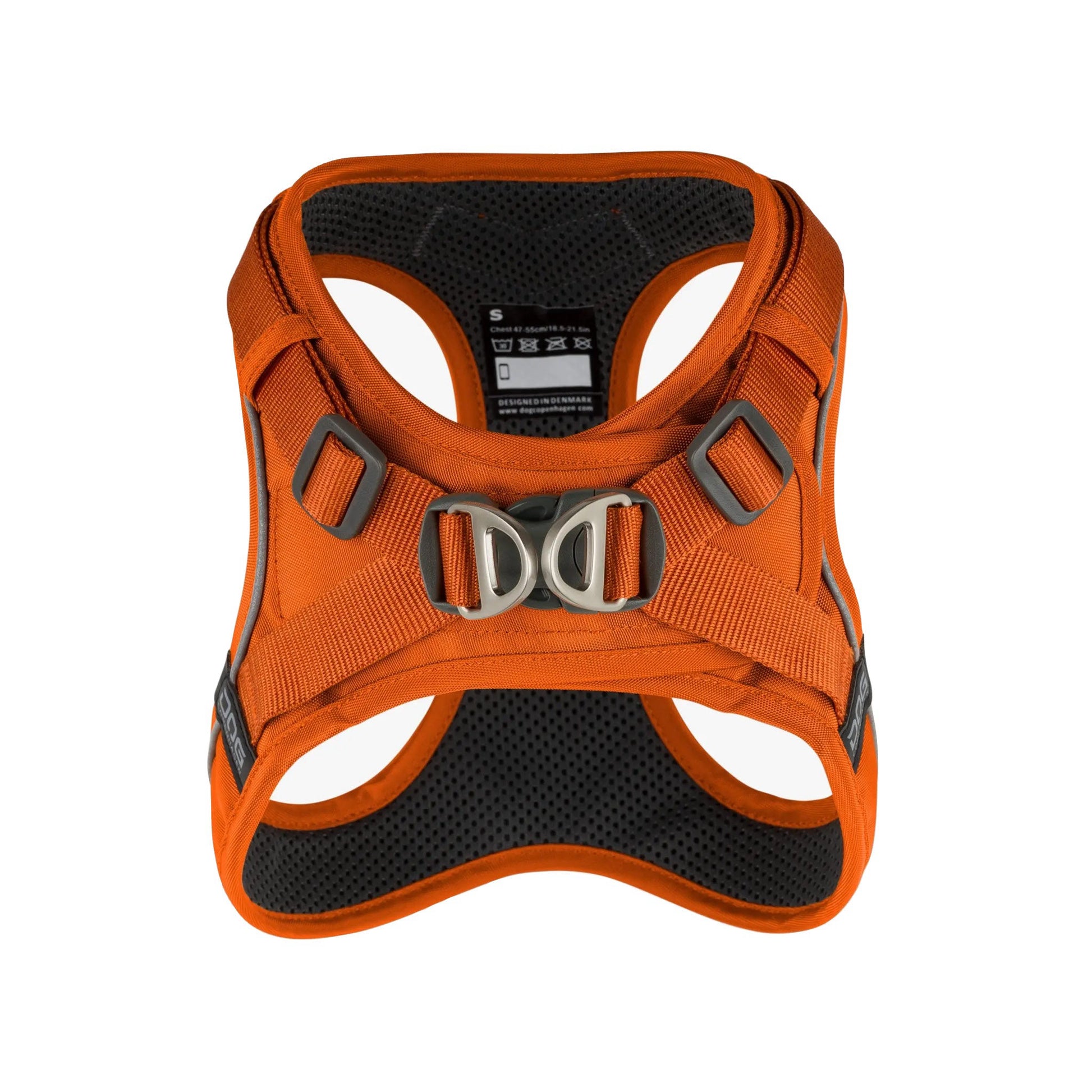 dog-go-orange-1.jpg