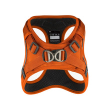 dog-go-orange-1.jpg