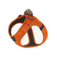 dog-go-orange.jpg