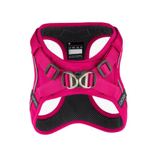 dog-go-pink-1.jpg