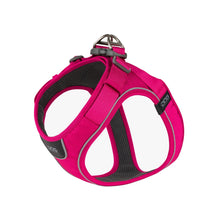 dog-go-pink.jpg