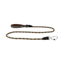 dog-rope-brun.jpg