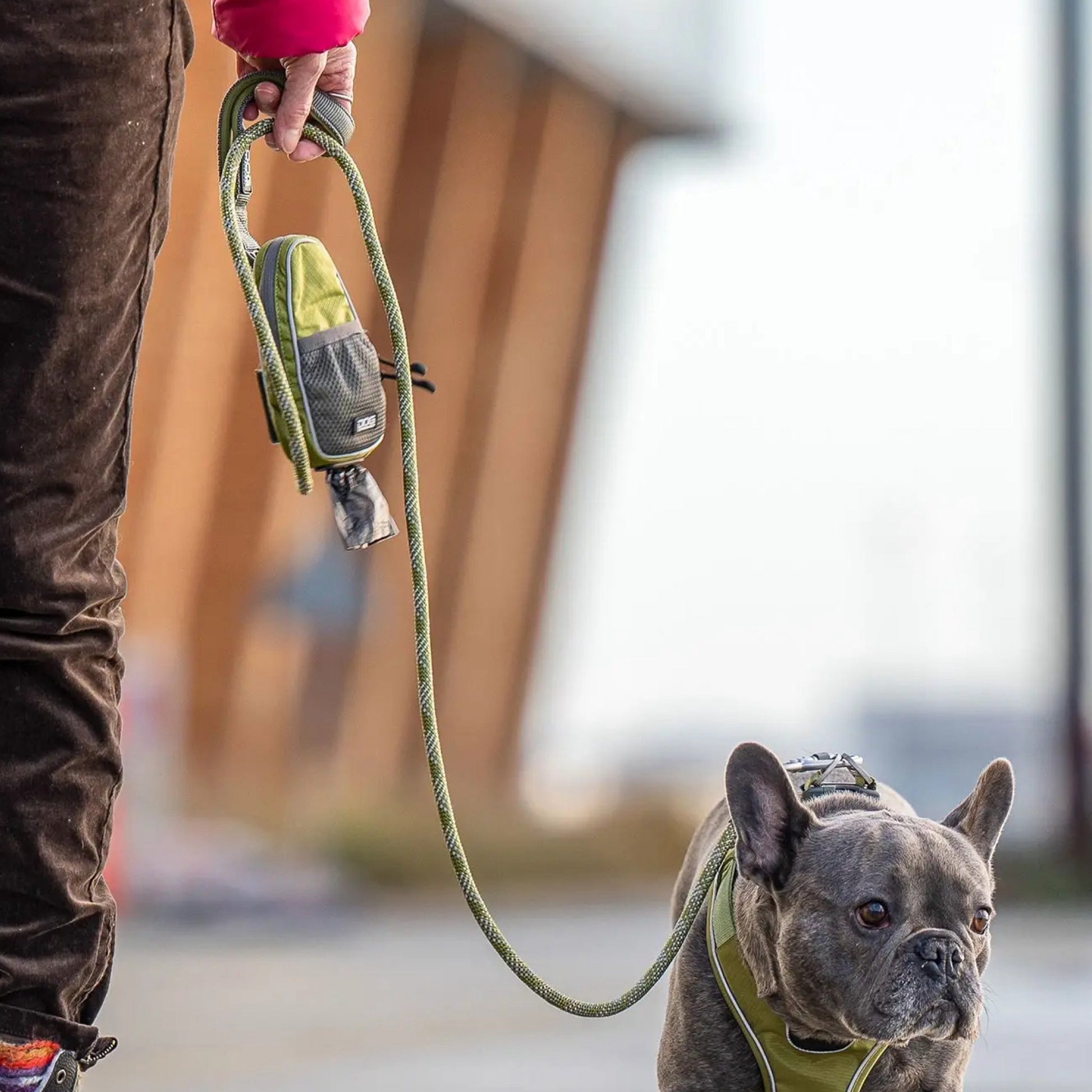 dog-rope-groen-hund.jpg