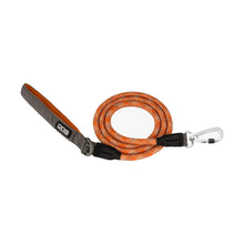 dog-rope-orange-1.jpg