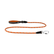 dog-rope-orange.jpg