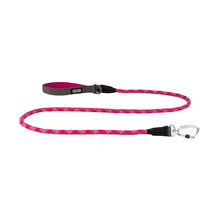 dog-rope-pink.jpg