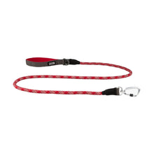 dog-rope-roed.jpg