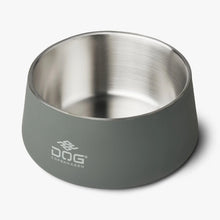 dog-vega-grey-1.jpg