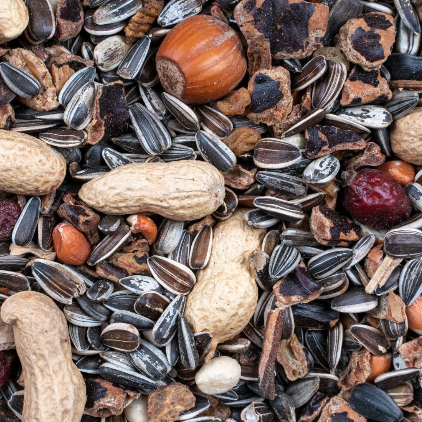 Egernfoder Nut Mix - 500 g