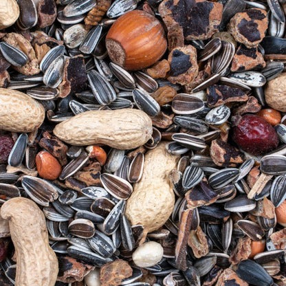 Egernfoder Nut Mix - 500 g