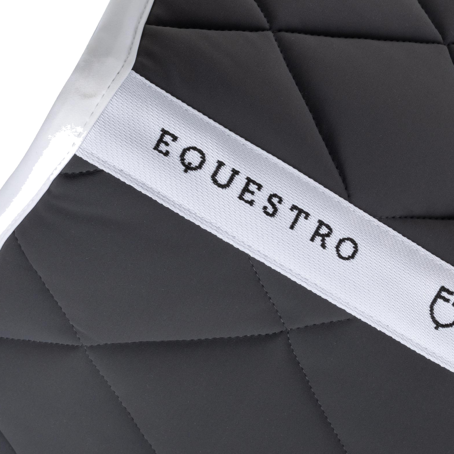 equestro-asphalt-spring-2.png