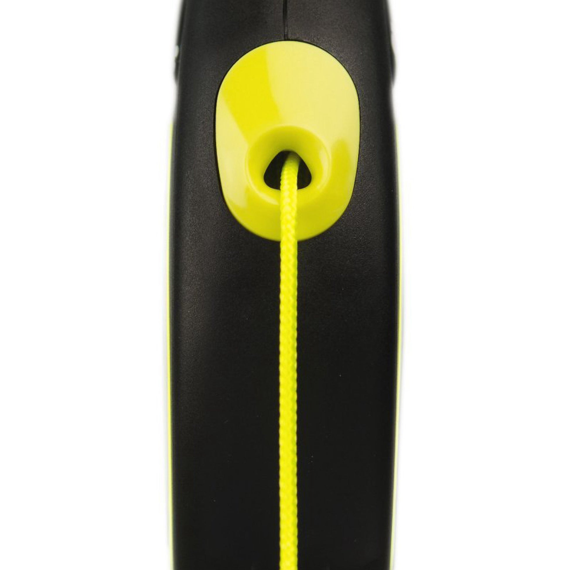 flexi-line-neon.jpg