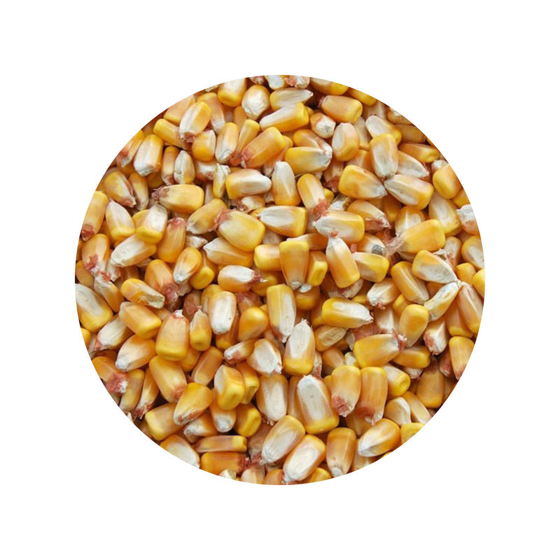 Brogaarden Fodermajs - hel Majs - 15kg