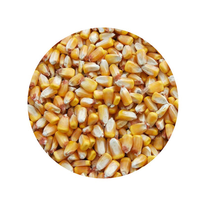 Brogaarden Fodermajs - hel Majs - 15kg