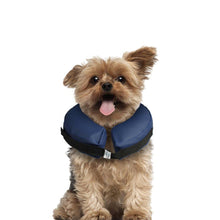halskrav-hund.jpg