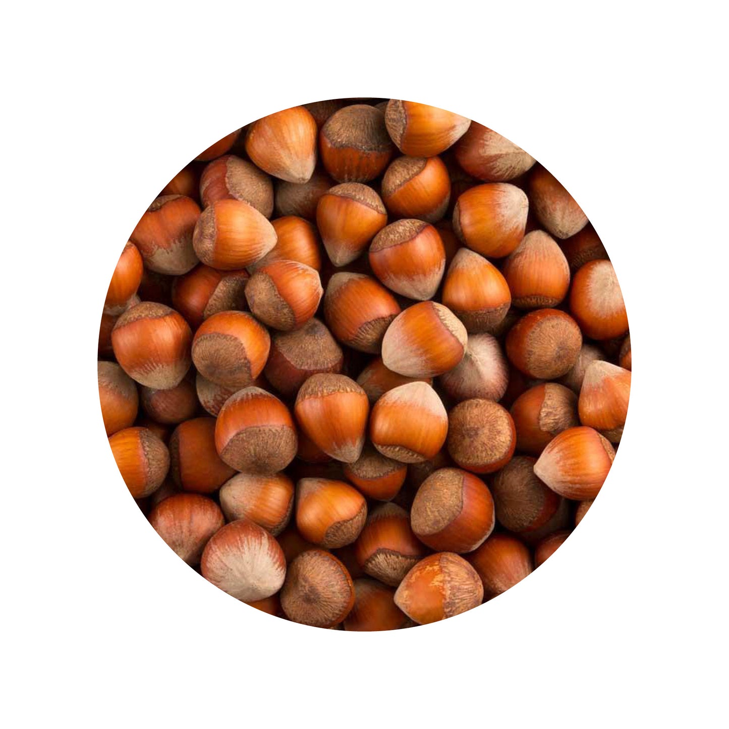 hasselnoedder-skal-25kg.jpg