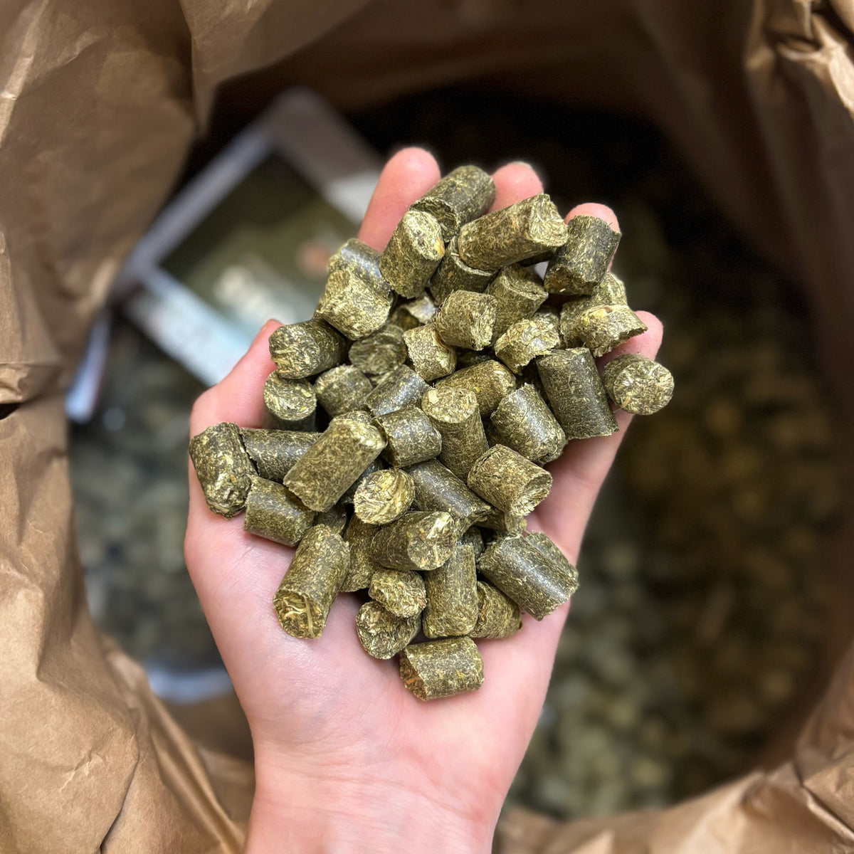 haycobs-hartog.jpg