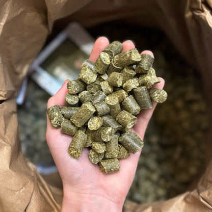 haycobs-hartog.jpg