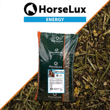 horselux-energy-ny.jpg