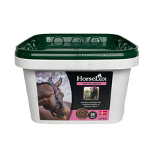 horselux-gastric.jpg