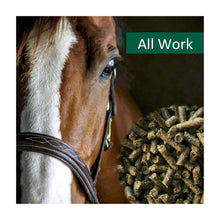 horsepro-allwork.jpg
