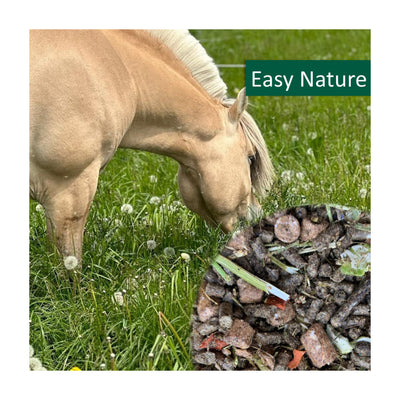 horsepro-easy-nature.jpg