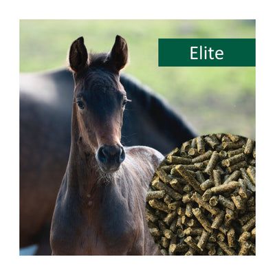 horsepro-elite.jpg