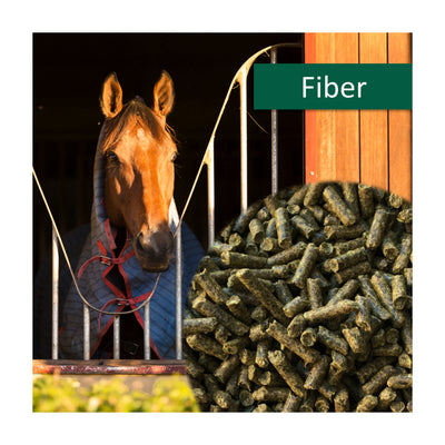 horsepro-fiber.jpg
