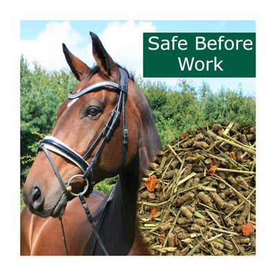 horsepro-safe-before-work.jpg
