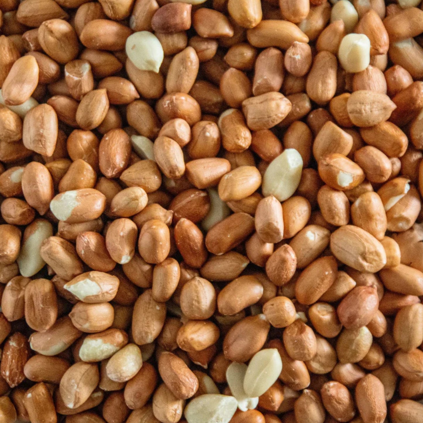 Afskallede Jordnødder - 25 kg