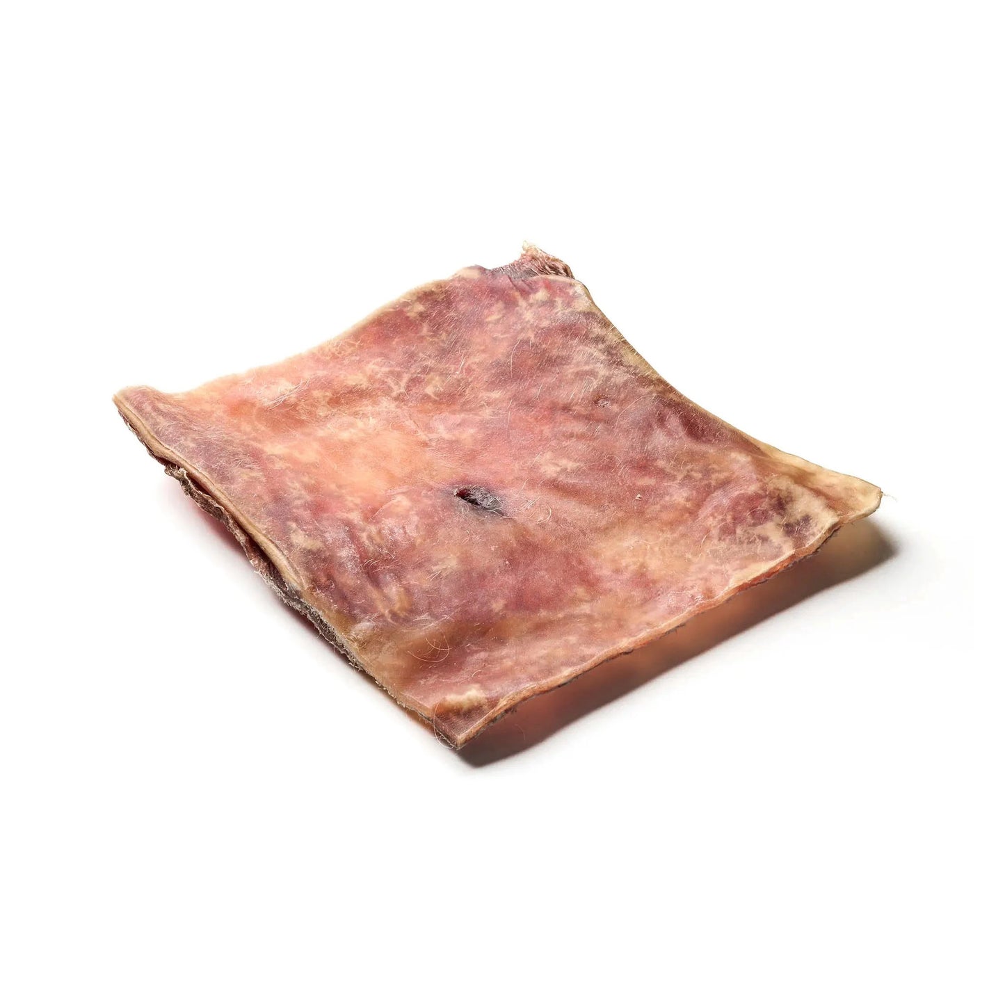 kamelskind-plade-xl.jpg