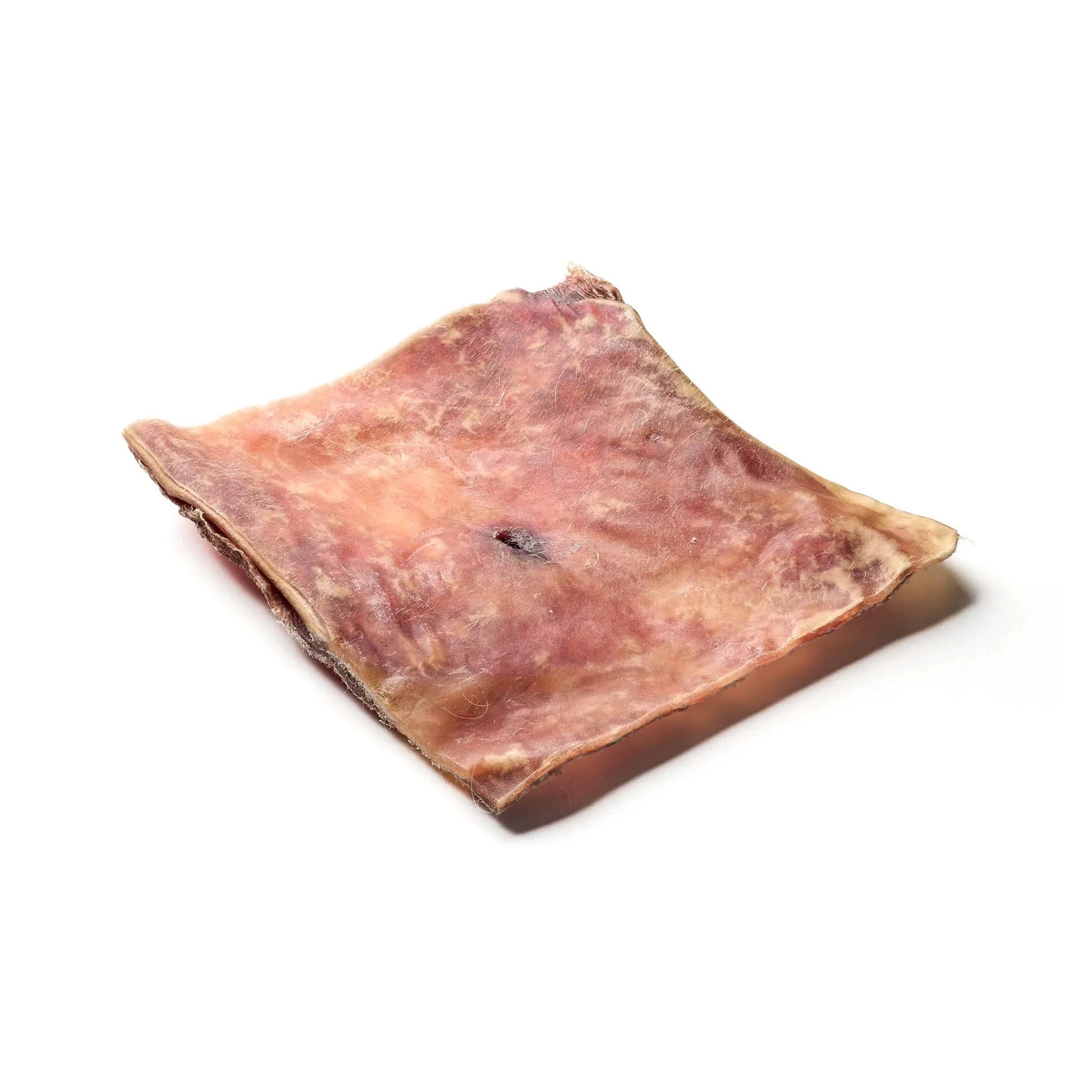 kamelskind-plade-xl.jpg
