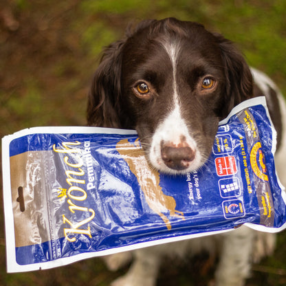 kronch-pemmikan-hund.jpg