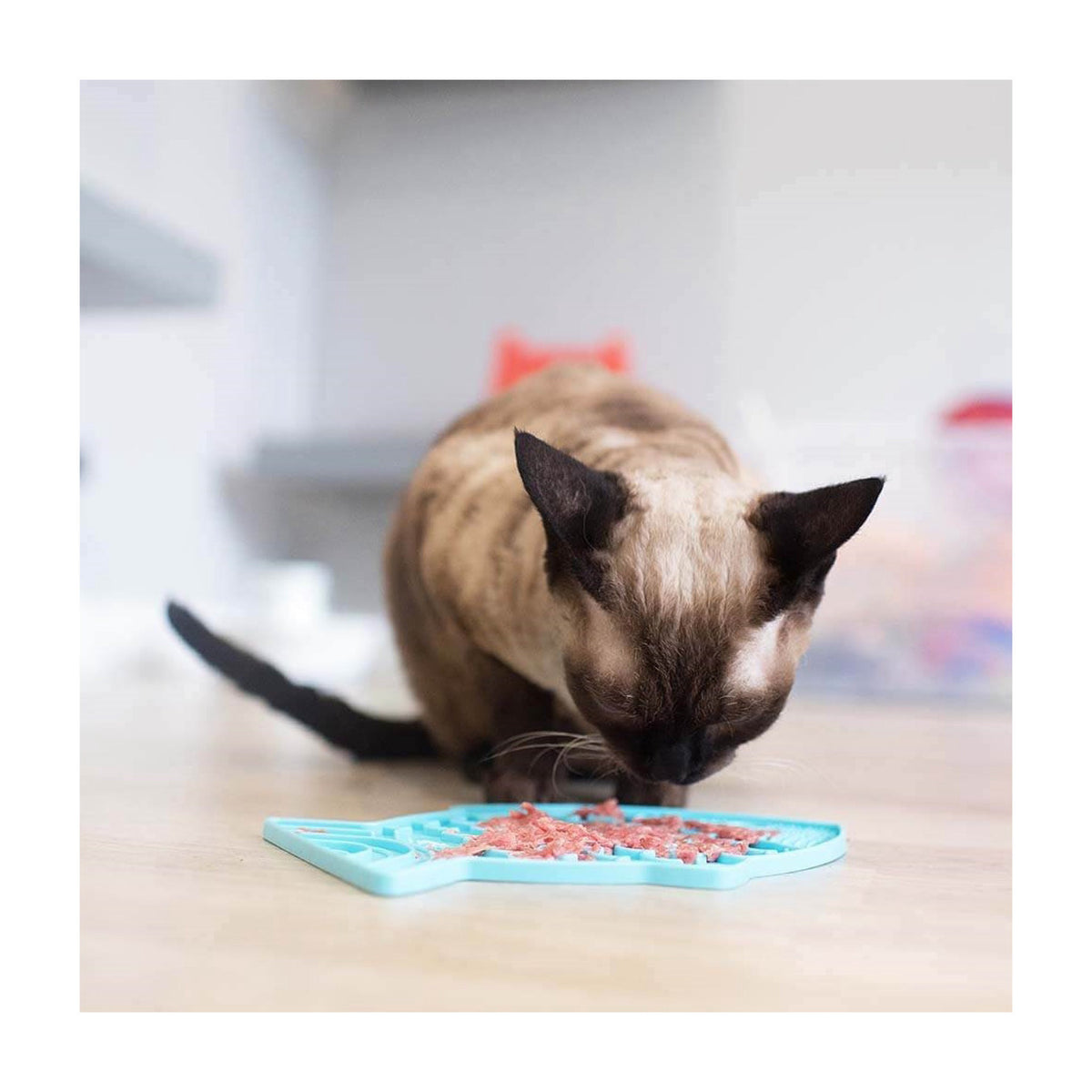lickimat-kat.jpg