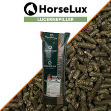 lucernepiller.jpg