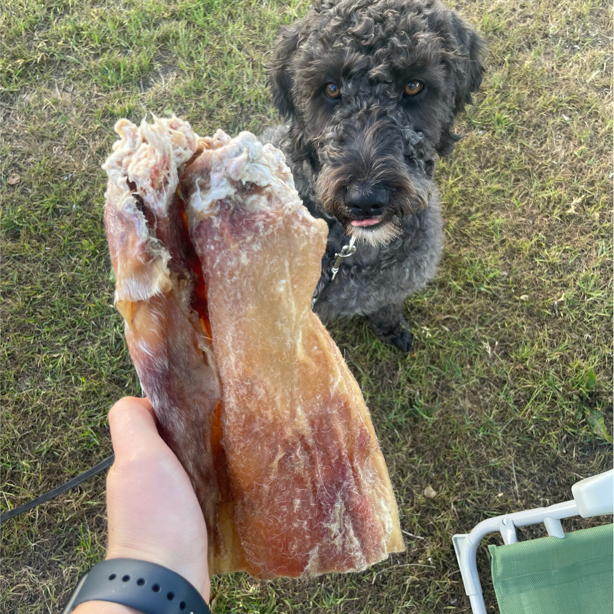Oksehud Plader - Ekstra Hård - 500 g