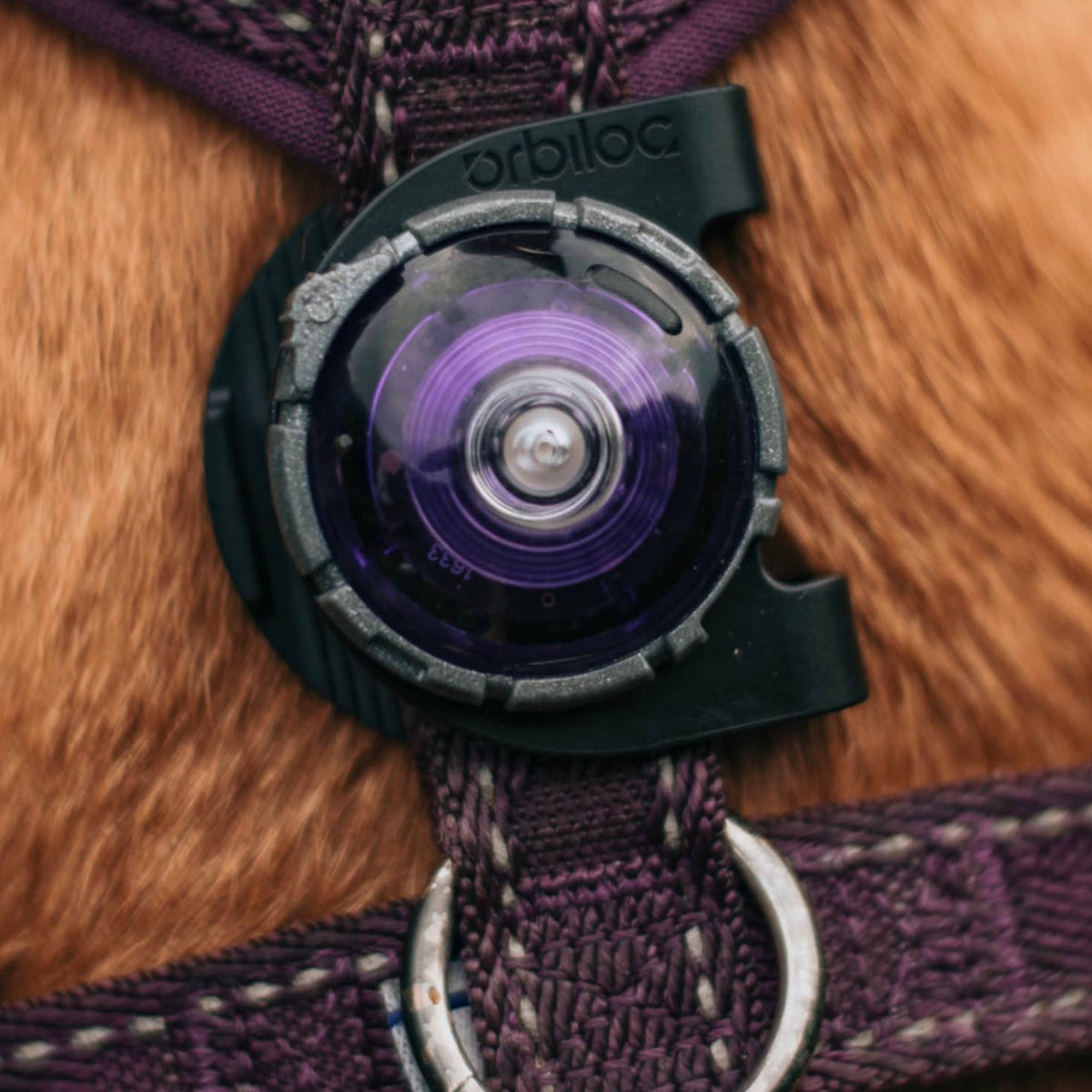 Orbiloc Clip