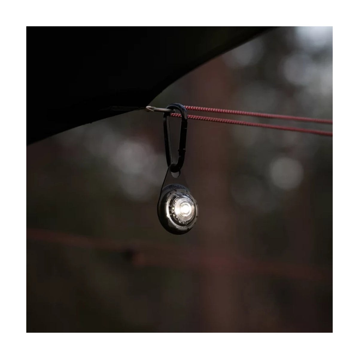 Orbiloc Carabiner - Karabinhage