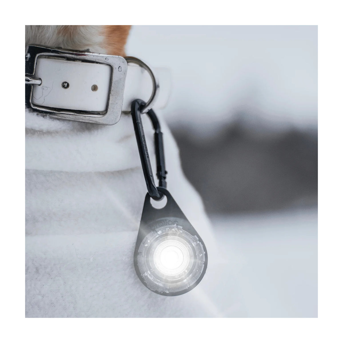 Orbiloc Carabiner - Karabinhage