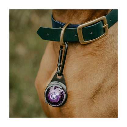 Orbiloc Carabiner - Karabinhage