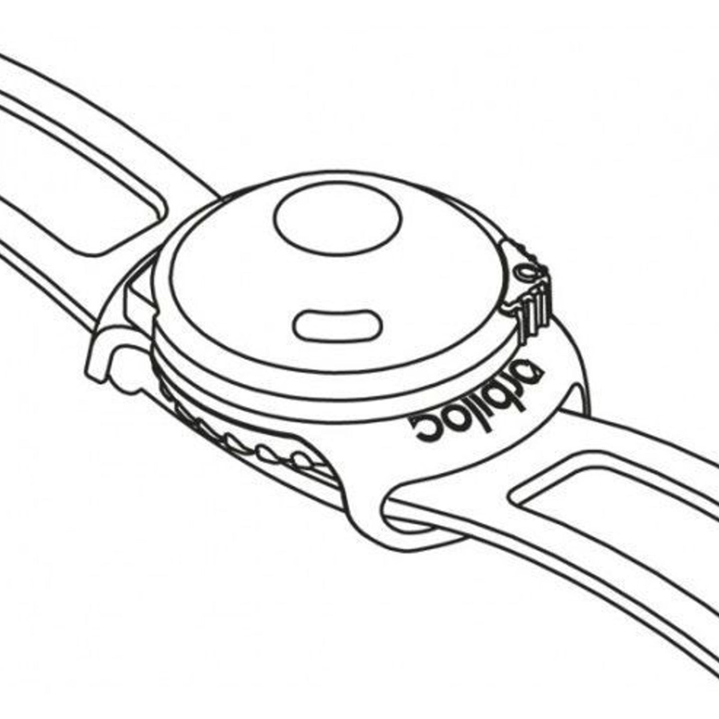Orbiloc Buckle